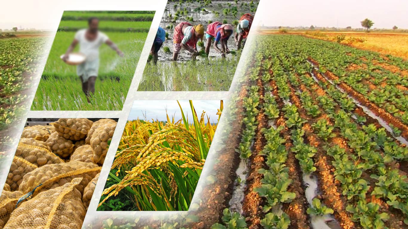 agriculture 7 2 2025